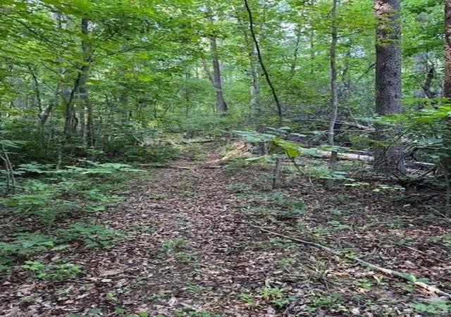 Photo 3 of Land for sale at 0 Lockhart Dr, Landrum, SC 29356 | MLS# 4397532 | Listing updated on 2026-06-26