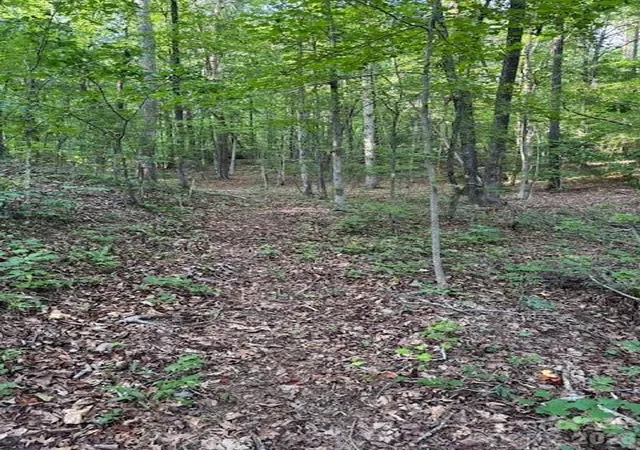 Photo 4 of Land for sale at 0 Lockhart Dr, Landrum, SC 29356 | MLS# 4397532 | Listing updated on 2026-06-26