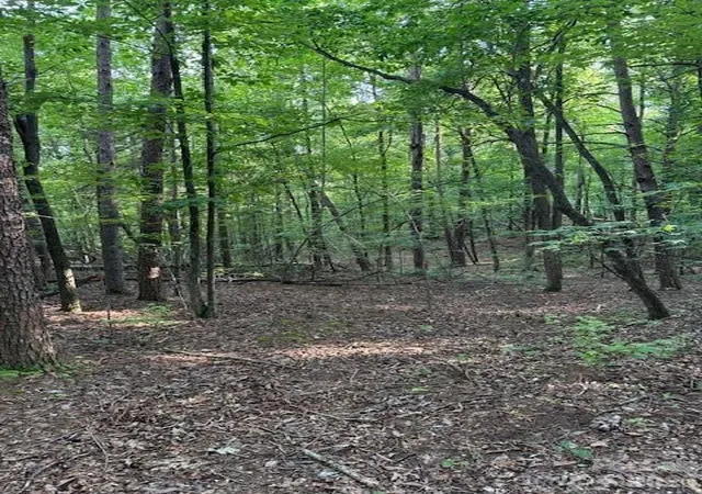 Photo 8 of Land for sale at 0 Lockhart Dr, Landrum, SC 29356 | MLS# 4397532 | Listing updated on 2026-06-26