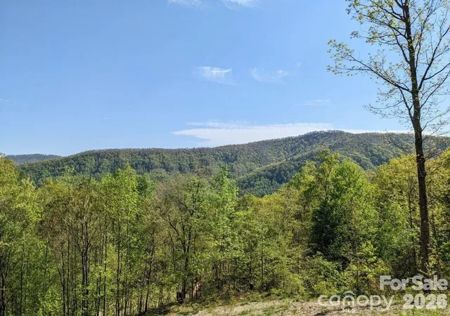 Homes for sale in Black Mountain, NC | 351 Kestrel Ln #T-67, Black Mountain, NC 28711 | MLS# 4397595