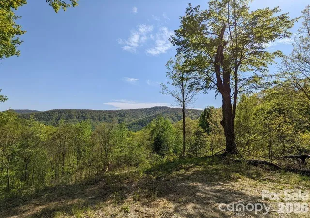 Homes for sale in Black Mountain, NC | 351 Kestrel Ln #T-67, Black Mountain, NC 28711 | MLS# 4397595