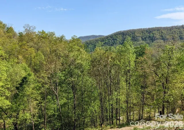 Homes for sale in Black Mountain, NC | 351 Kestrel Ln #T-67, Black Mountain, NC 28711 | MLS# 4397595