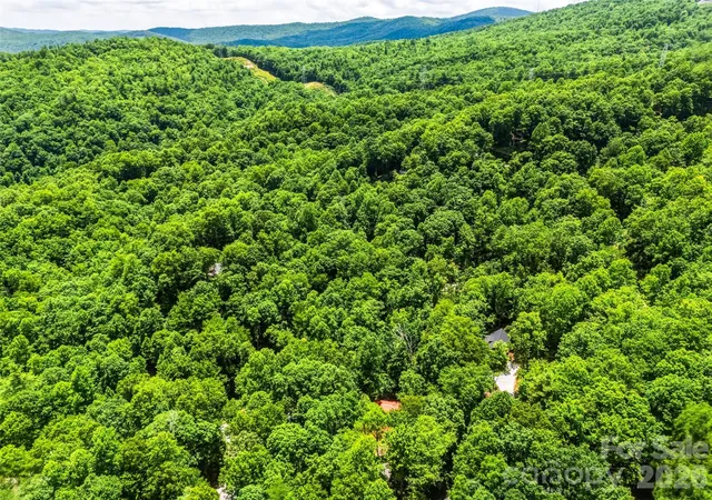 Homes for sale in Pisgah Forest, NC | 785 Pisgah Forest Dr, Pisgah Forest, NC 28768 | MLS# 4397604