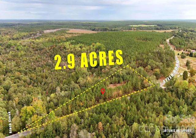 Homes for sale in Mount Croghan, SC | 0 Steen Rd, Mount Croghan, SC 29727 | MLS# 4397610