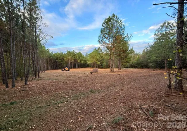 Homes for sale in Mount Croghan, SC | 0 Steen Rd, Mount Croghan, SC 29727 | MLS# 4397610