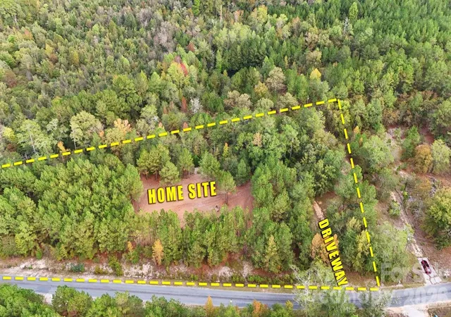Homes for sale in Mount Croghan, SC | 0 Steen Rd, Mount Croghan, SC 29727 | MLS# 4397610