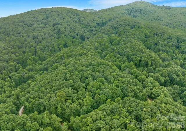 Homes for sale in Black Mountain, NC | 8 Carls Cove Rd, Black Mountain, NC 28711 | MLS# 4397658