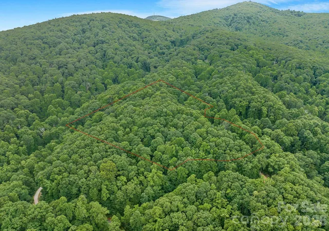 Homes for sale in Black Mountain, NC | 8 Carls Cove Rd, Black Mountain, NC 28711 | MLS# 4397658