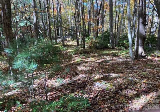 Photo 4 of Land for sale at 8 Carls Cvs Rd, Black Mountain, NC 28711 | MLS# 4397658 | Listing updated on 2026-06-28