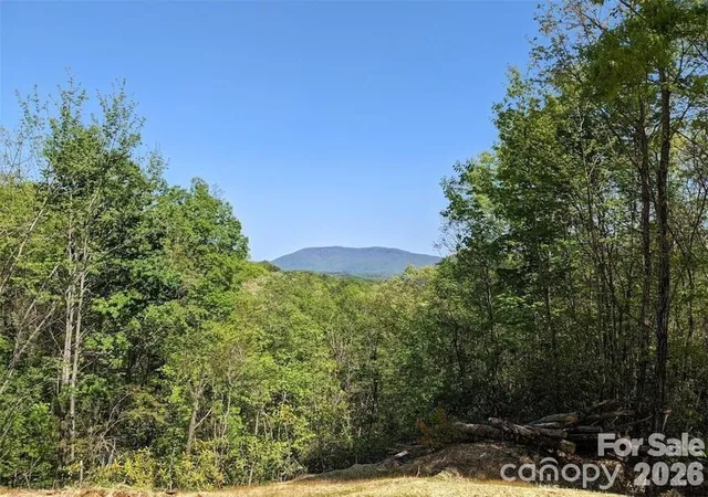 Homes for sale in Black Mountain, NC | 171 Nuthatch Ln #C-30, Black Mountain, NC 28711 | MLS# 4397739