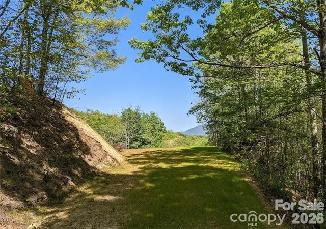 Homes for sale in Black Mountain, NC | 171 Nuthatch Ln #C-30, Black Mountain, NC 28711 | MLS# 4397739