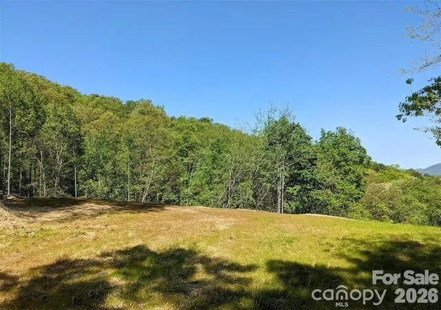 Homes for sale in Black Mountain, NC | 171 Nuthatch Ln #C-30, Black Mountain, NC 28711 | MLS# 4397739