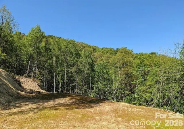 Homes for sale in Black Mountain, NC | 171 Nuthatch Ln #C-30, Black Mountain, NC 28711 | MLS# 4397739