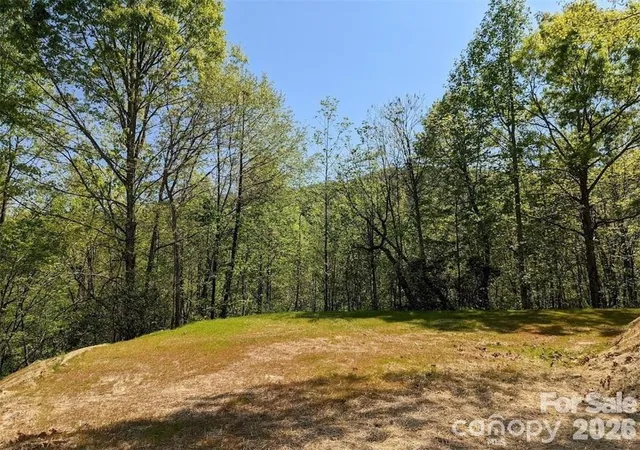 Homes for sale in Black Mountain, NC | 171 Nuthatch Ln #C-30, Black Mountain, NC 28711 | MLS# 4397739