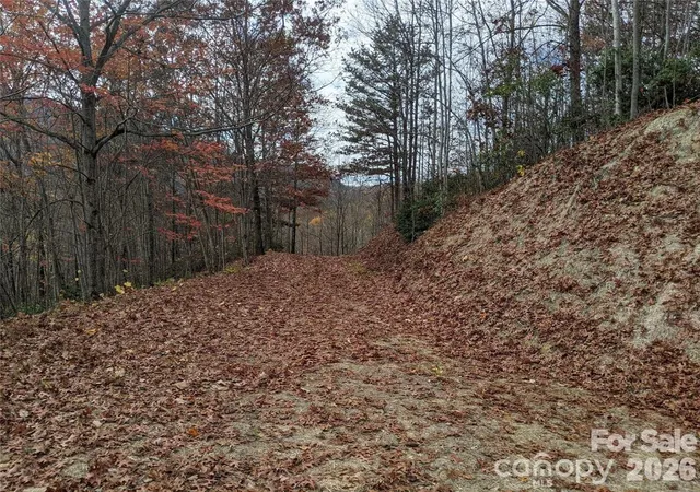 Homes for sale in Black Mountain, NC | 171 Nuthatch Ln #C-30, Black Mountain, NC 28711 | MLS# 4397739