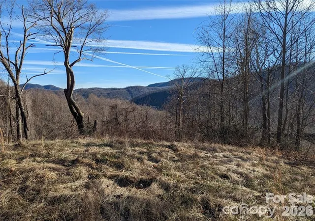 Homes for sale in Black Mountain, NC | 117 Ironwood Ln #C-20, Black Mountain, NC 28711 | MLS# 4397755