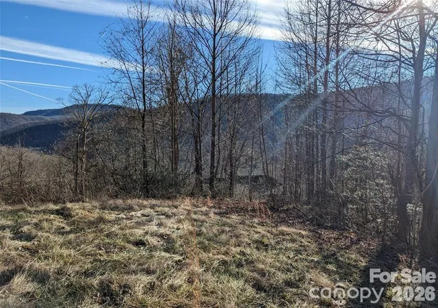 Homes for sale in Black Mountain, NC | 117 Ironwood Ln #C-20, Black Mountain, NC 28711 | MLS# 4397755