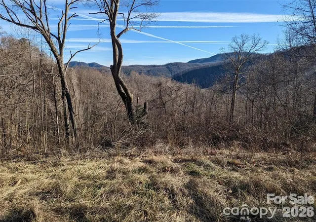 Homes for sale in Black Mountain, NC | 117 Ironwood Ln #C-20, Black Mountain, NC 28711 | MLS# 4397755
