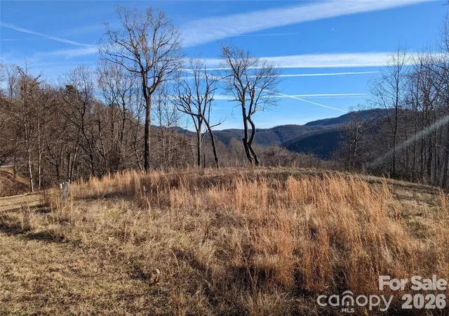 Homes for sale in Black Mountain, NC | 117 Ironwood Ln #C-20, Black Mountain, NC 28711 | MLS# 4397755