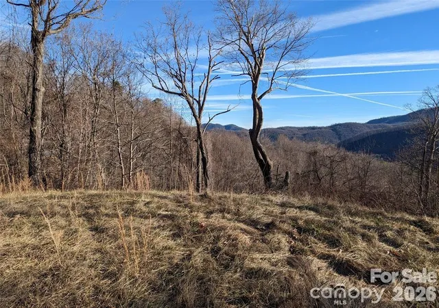 Homes for sale in Black Mountain, NC | 117 Ironwood Ln #C-20, Black Mountain, NC 28711 | MLS# 4397755