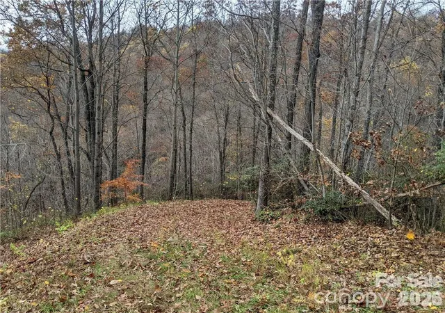 Homes for sale in Black Mountain, NC | 367 Kestrel Ln #T-85, Black Mountain, NC 28711 | MLS# 4397768