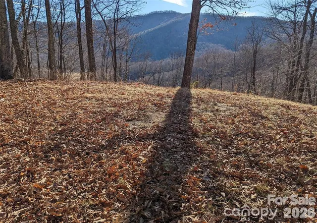 Homes for sale in Black Mountain, NC | 367 Kestrel Ln #T-85, Black Mountain, NC 28711 | MLS# 4397768