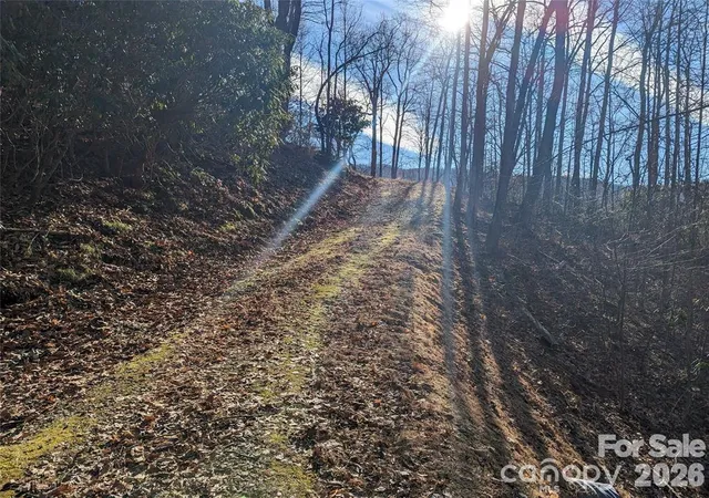 Homes for sale in Black Mountain, NC | 367 Kestrel Ln #T-85, Black Mountain, NC 28711 | MLS# 4397768
