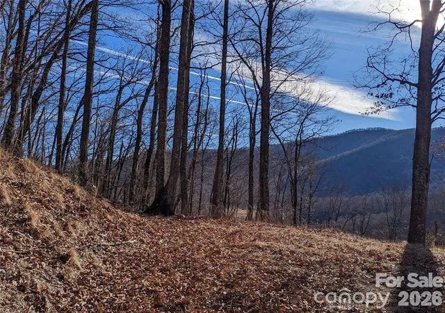 Homes for sale in Black Mountain, NC | 367 Kestrel Ln #T-85, Black Mountain, NC 28711 | MLS# 4397768