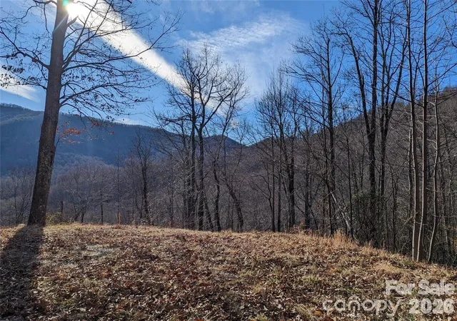 Homes for sale in Black Mountain, NC | 367 Kestrel Ln #T-85, Black Mountain, NC 28711 | MLS# 4397768