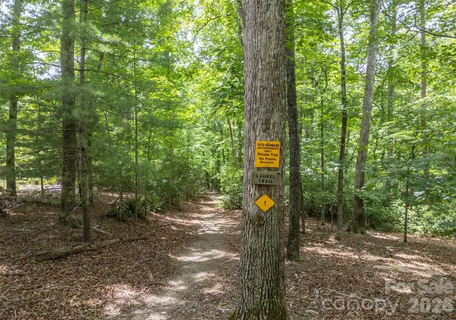 4th image of 441 Lower Ridgeview Rd, Columbus, NC 28722 | MLS# 4397784