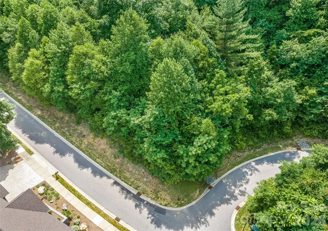 Homes for sale in Black Mountain, NC | 53 Old Lafayette Ln, Black Mountain, NC 28711 | MLS# 4397876