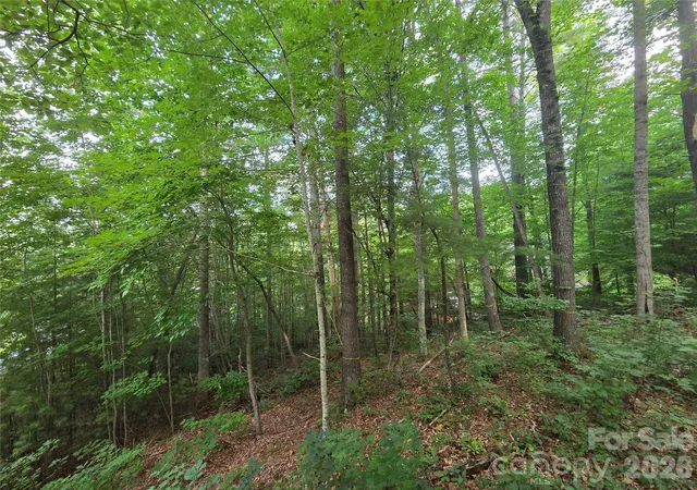 Photo 3 of Land for sale at 16 Courseview Dr, Weaverville, NC 28787 | MLS# 4397942 | Listing updated on 2026-09-22