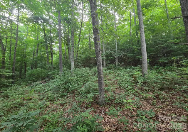 Photo 3 of Land for sale at 16 Courseview Dr, Weaverville, NC 28787 | MLS# 4397942 | Listing updated on 2026-09-22