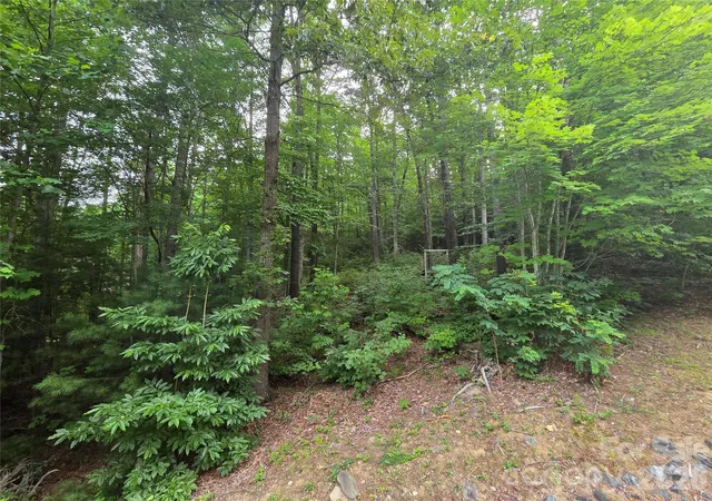 Photo 4 of Land for sale at 16 Courseview Dr, Weaverville, NC 28787 | MLS# 4397942 | Listing updated on 2026-09-22