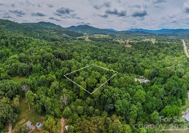 2nd image of 241 Clyde View Hts, Clyde, NC 28721 | MLS# 4397960
