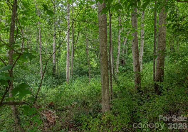 4th image of 241 Clyde View Hts, Clyde, NC 28721 | MLS# 4397960