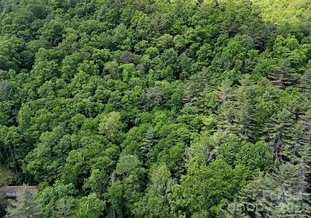 Homes for sale in Sylva, NC | 000 Enchanted Forest Dr #1, Sylva, NC 28779 | MLS# 4397973