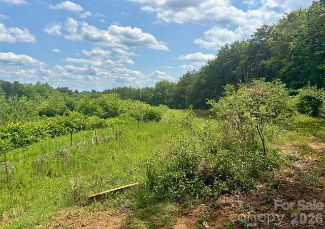 Homes for sale in Lake Lure, NC | 1812 Freemantown Rd, Lake Lure, NC 28746 | MLS# 4398007