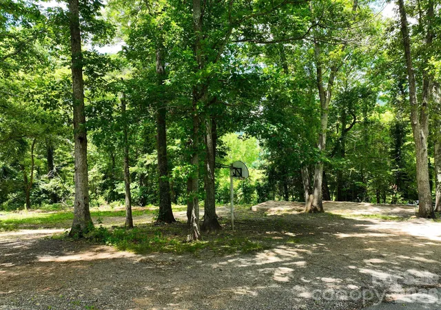 Photo 3 of Land for sale at 99999 Chunns Cvs Rd, Asheville, NC 28805 | MLS# 4398017 | Listing updated on 2026-08-04