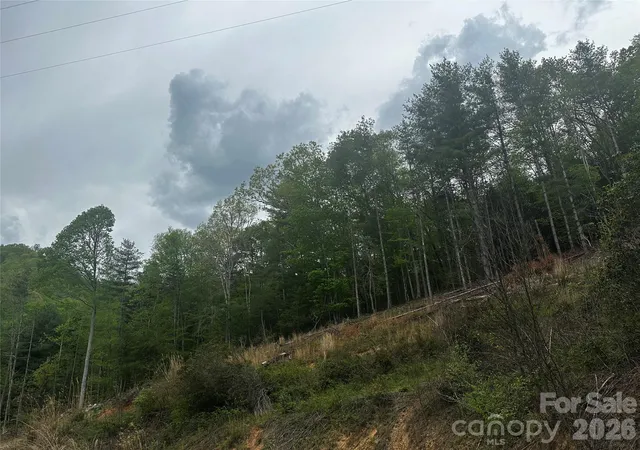 18th image of 00 Mcpeters Ln, Burnsville, NC 28714 | MLS# 4398052