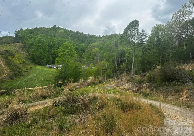 2nd image of 00 Mcpeters Ln, Burnsville, NC 28714 | MLS# 4398052