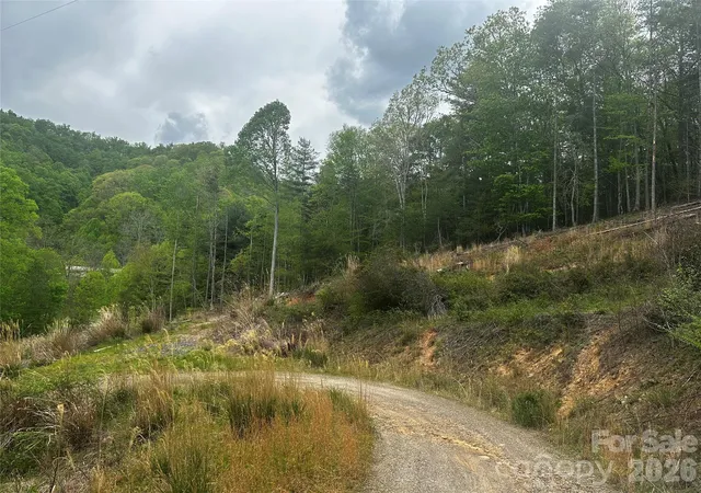 5th image of 00 Mcpeters Ln, Burnsville, NC 28714 | MLS# 4398052