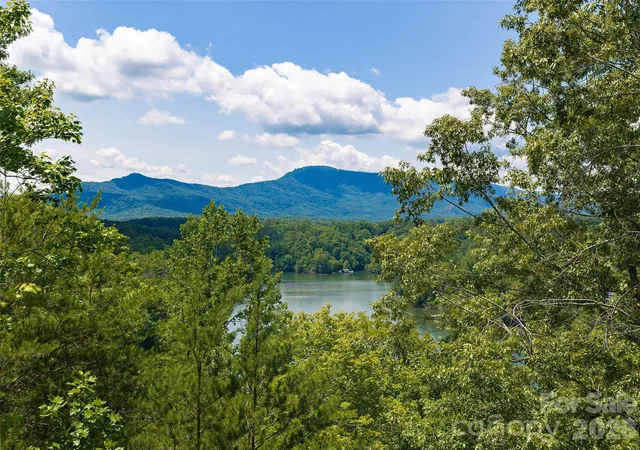 Land for sale at Lot 3 Loggers Pass Ln, Mill Spring, NC 28756 | MLS# 4398074