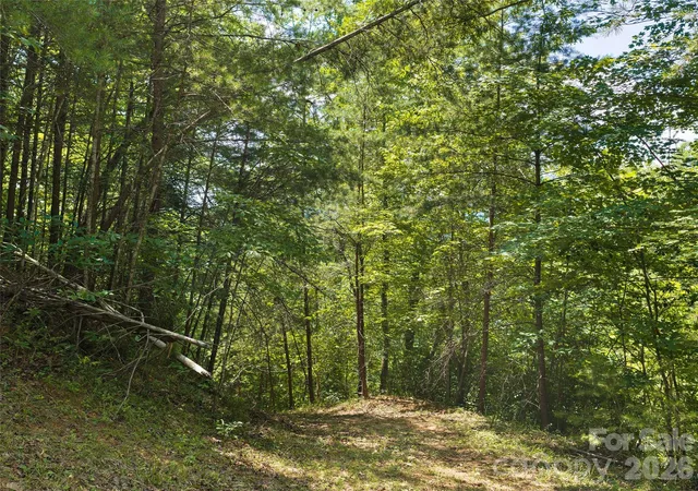 Photo 2 of Land for sale at Lot 3 Loggers Pass Ln, Mill Spring, NC 28756 | MLS# 4398074 | Listing updated on 2026-09-30