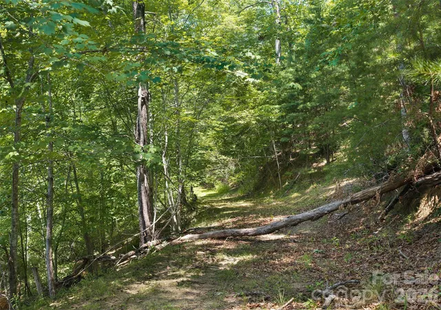 Photo 3 of Land for sale at Lot 3 Loggers Pass Ln, Mill Spring, NC 28756 | MLS# 4398074 | Listing updated on 2026-09-30