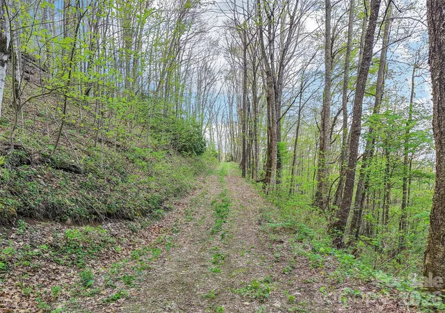 2nd image of 00 Star Crest Dr, Waynesville, NC 28785 | MLS# 4398081