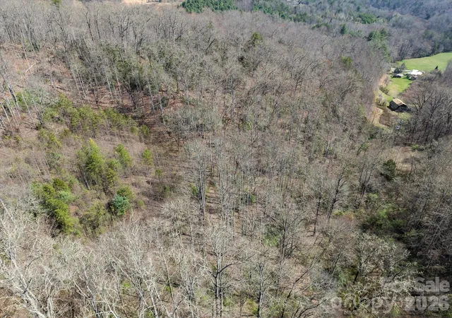 Homes for sale in Whittier, NC | 99999 Bumgarner Cemetery Rd #4,5,6, Whittier, NC 28789 | MLS# 4398088