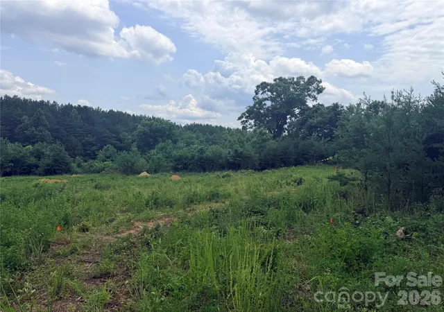Homes for sale in Forest City, NC | 0 Doggett Grove Rd #1, Forest City, NC 28043 | MLS# 4398170