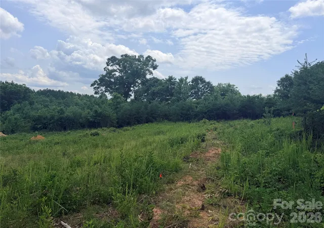 Homes for sale in Forest City, NC | 0 Doggett Grove Rd #1, Forest City, NC 28043 | MLS# 4398170
