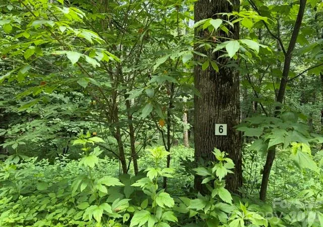 Photo 1 of Land for sale at Lot 6 Gadohi Trl #6, Maggie Valley, NC 28751 | MLS# 4398194 | Listing updated on 2026-06-27